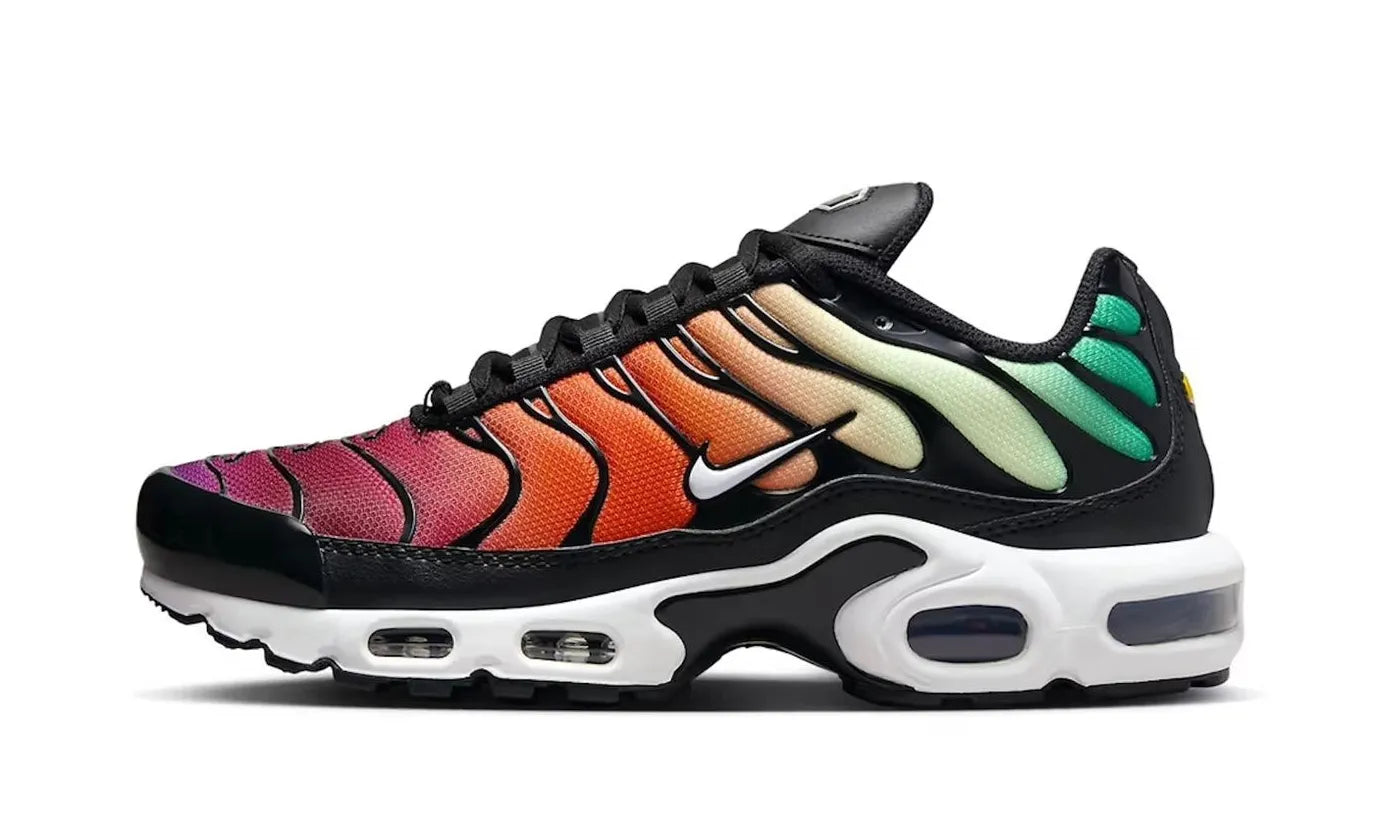 ✓ Nike Air Max Plus Rainbow (DZ3670-001) Aftermath