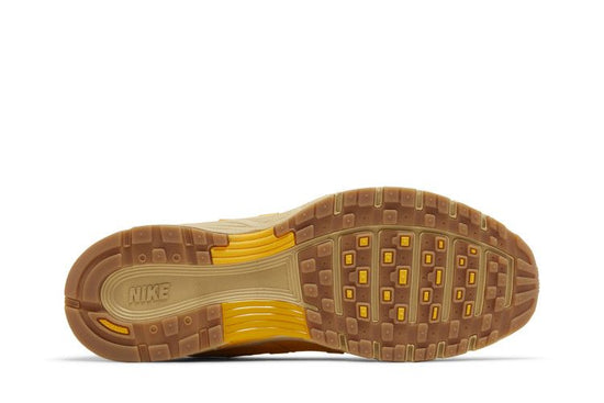 P-6000 University Gold - CD6404-201