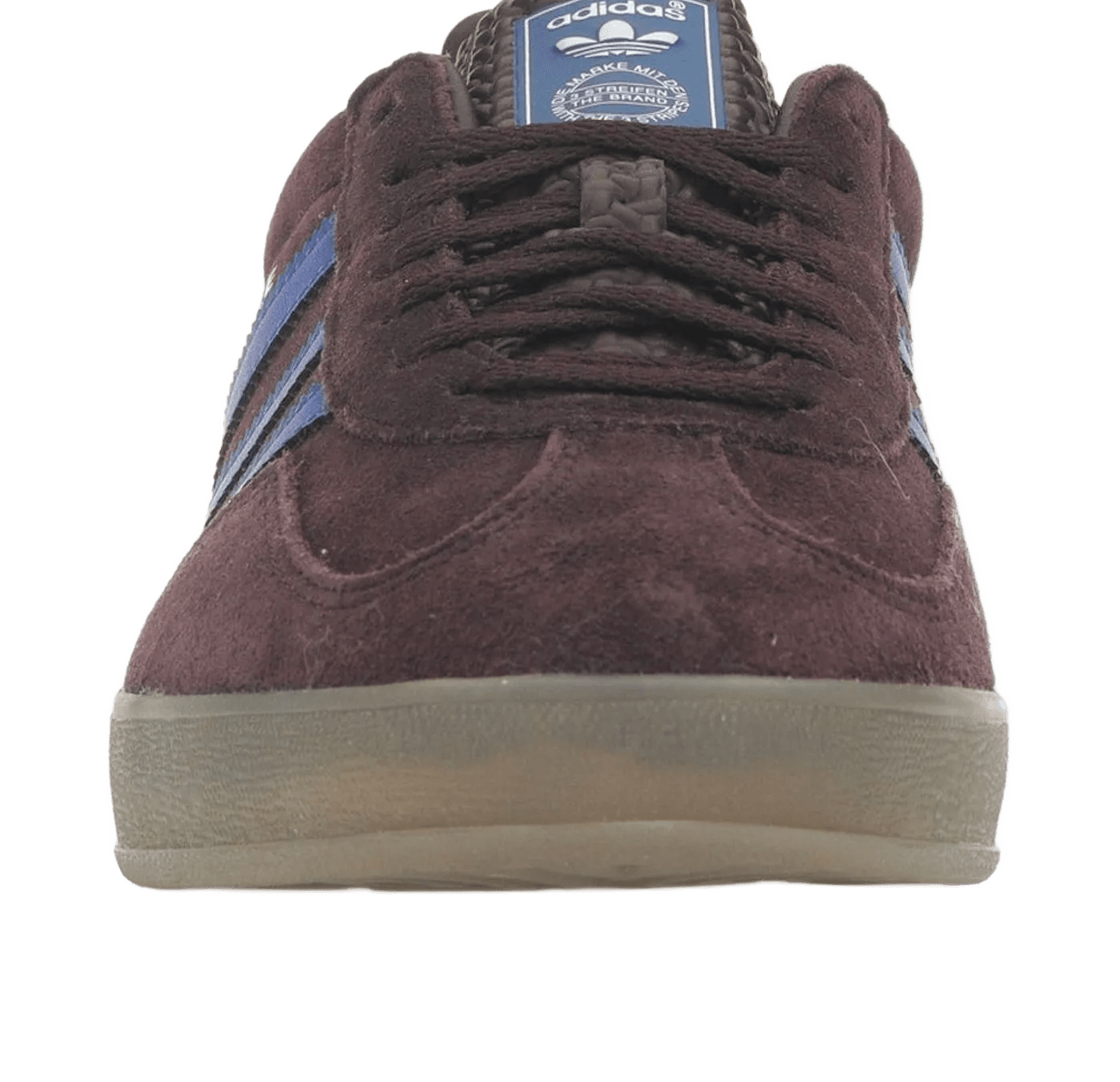 Gazelle Indoor Shadow Maroon Semi Lucid Blue - IG9980
