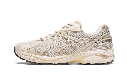 ASICS GT-2160 Oatmeal - 1203A320-250