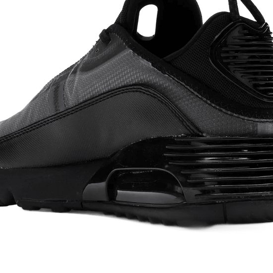 Air Max 2090 Black Wolf Grey - BV9977-001