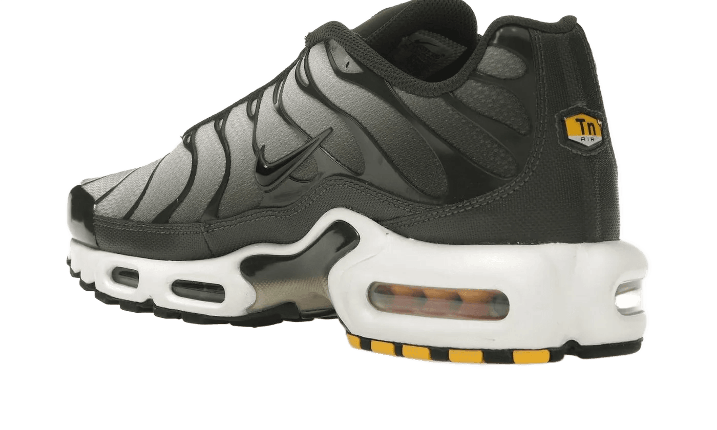 Air Max Plus Sequoia Cargo Khaki - DM0032-300