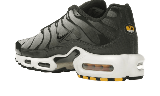 Air Max Plus Sequoia Cargo Khaki - DM0032-300