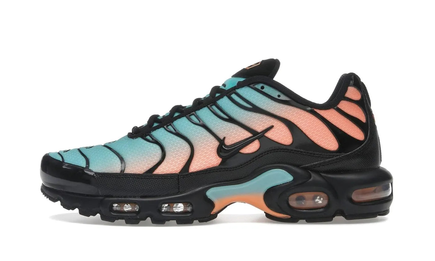 Air Max Plus South Beach - DM0032-022