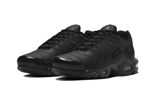 Nike Air Max Plus Triple Black Leather - AJ2029-001