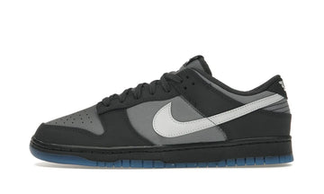 Dunk Low Anthracite - FV0384-001