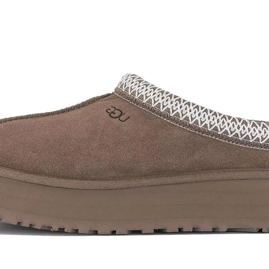 Tazz Slipper Mushroom - 1122553-MUSR