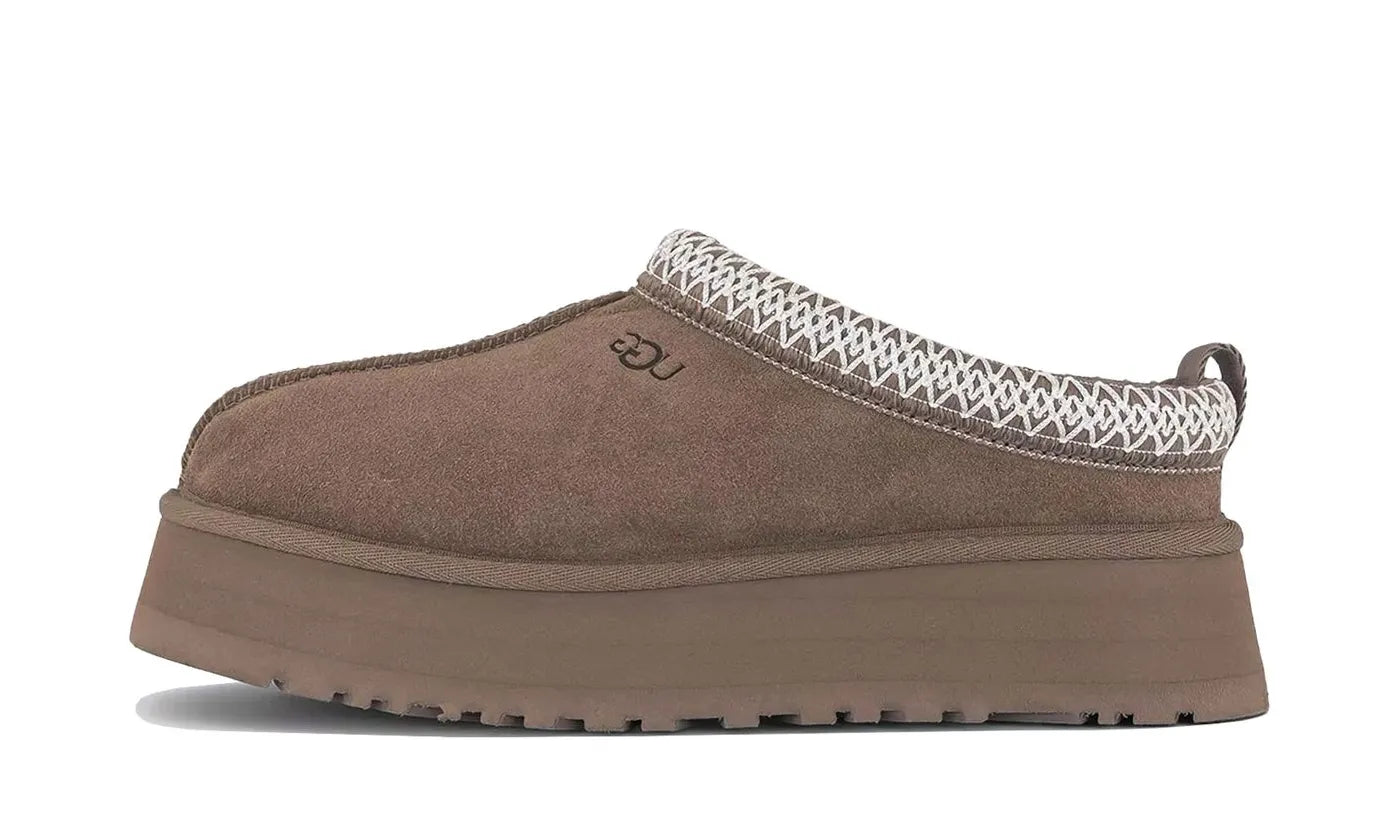 Tazz Slipper Mushroom - 1122553-MUSR