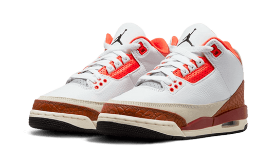 Air Jordan Air Jordan 3 Dunk On Mars - DV7028-108