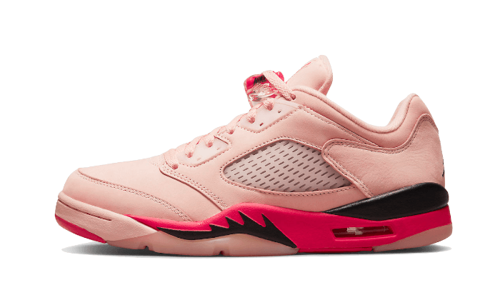 Air Jordan Air Jordan 5 Low Arctic Pink - DA8016-806