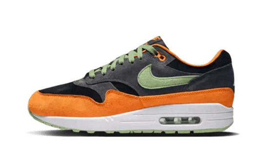 Nike Air Max 1 PRM Duck Anthracite - DZ0482-001