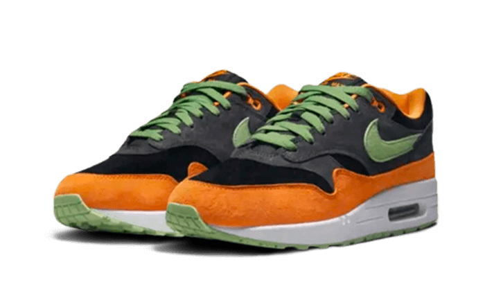 Nike Air Max 1 PRM Duck Anthracite - DZ0482-001