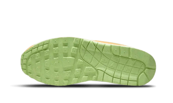 Nike Air Max 1 PRM Duck Anthracite - DZ0482-001