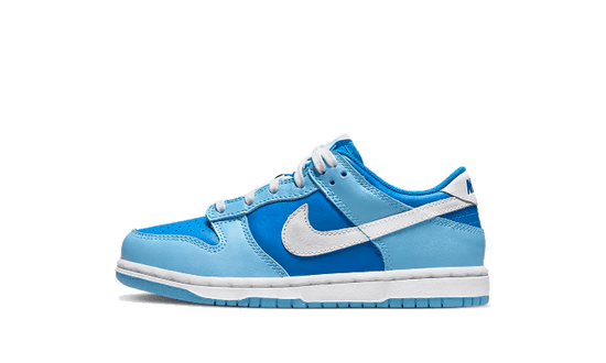 Nike Dunk Low Argon Enfant (PS) - DV2635-400