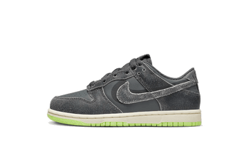 Nike Dunk Low Swoosh Shadow Iron Grey Enfant (PS) - DQ6216-001