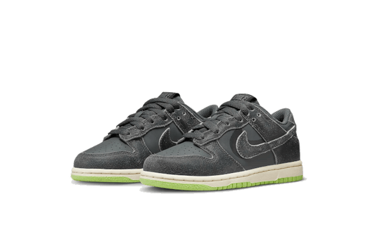 Nike Dunk Low Swoosh Shadow Iron Grey Enfant (PS) - DQ6216-001