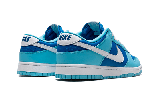 Nike Dunk Low Argon - DM0121-400