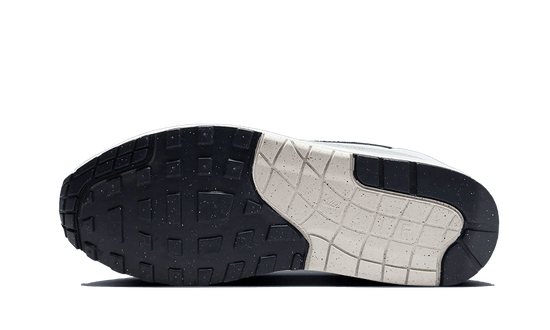 Nike Air Max 1 Pure Platinum - FD9082-002