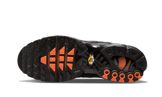 Nike Air Max Plus 3D Swoosh Black - DR0138-001