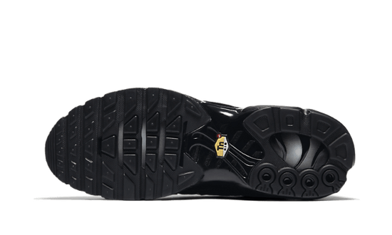 Nike Air Max Plus Triple Black - 604133-050 / CD0609-001