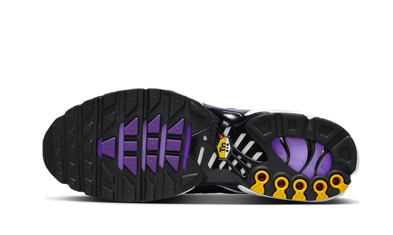 Nike Air Max Plus Voltage Purple - CD0609-024 / DX0755-500