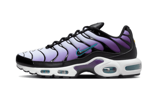 Nike Air Max Plus Reverse Grape - FQ2415-500