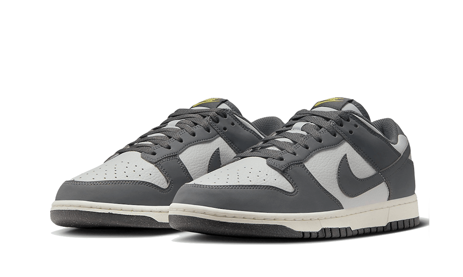 dunk low iron grey