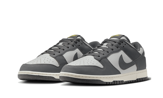 Nike Dunk Low Next Nature Iron Grey Lightning - FZ4621-001
