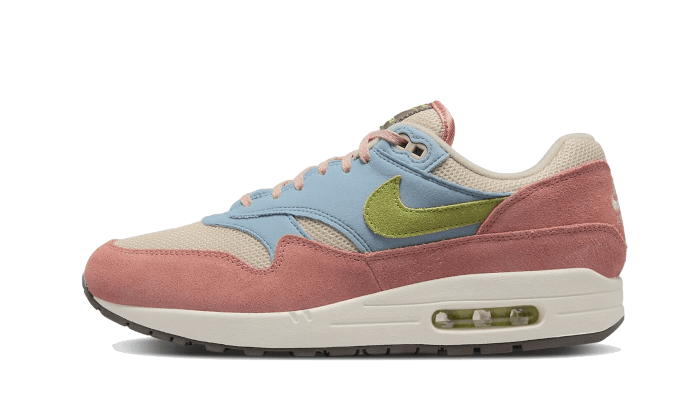 Nike Air Max 1 Light Madder Root - DV3196-800