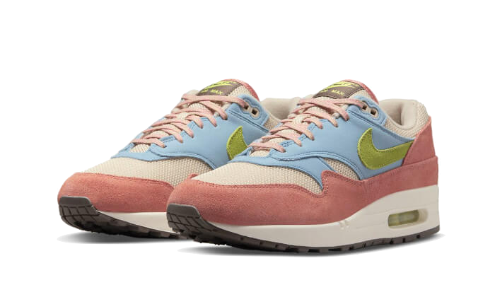 Nike Air Max 1 Light Madder Root - DV3196-800