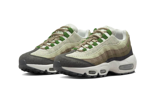 Nike Air Max 95 Earth Day - DV3450-300