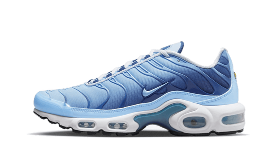 Nike Air Max Plus University Blue Gradient - FJ4736-400