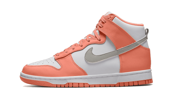 Nike Dunk High Salmon Grey - DD1869-600