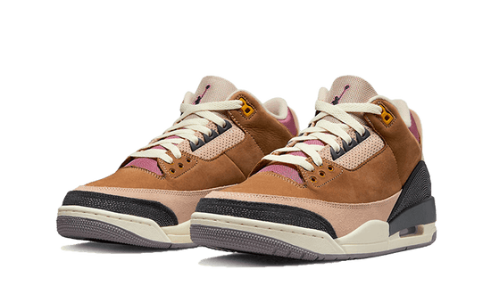 Air Jordan Air Jordan 3 Retro Winterized Archeo Brown - DR8869-200