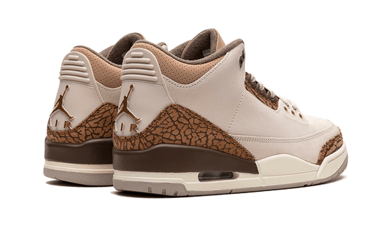Air Jordan Air Jordan 3 Palomino - CT8532-102 / DM0967-102