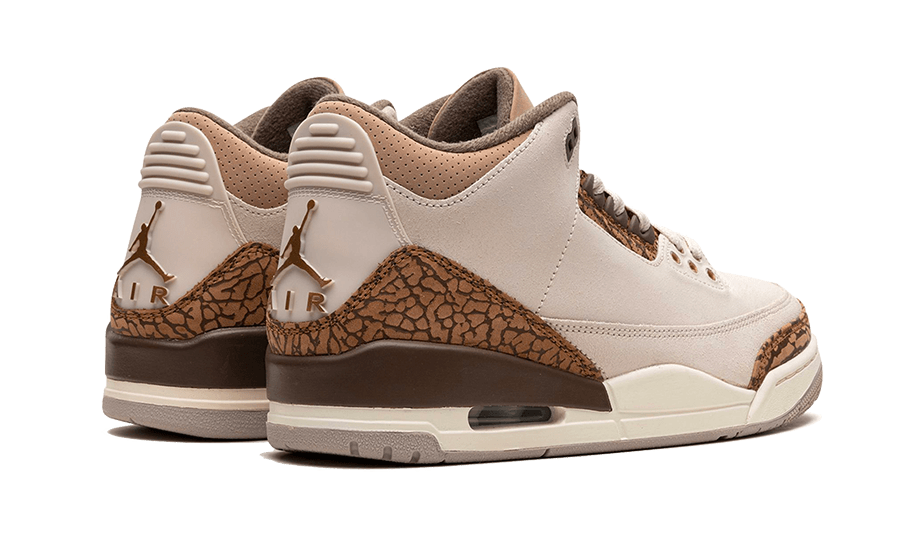 Air Jordan Air Jordan 3 Palomino - CT8532-102 / DM0967-102