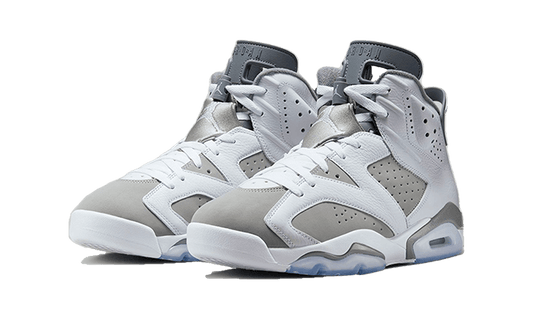 Air Jordan Air Jordan 6 Cool Grey - 384665-100 / CT8529-100