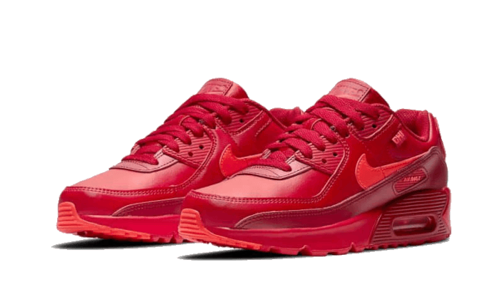 Nike Air Max 90 Chi-City Special - DH0146-600 / DH0149-600