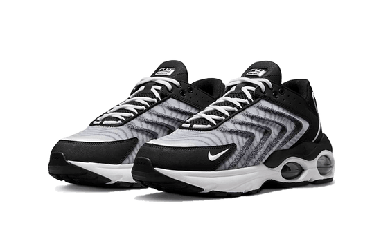 Nike Air Max TW Black White - DQ3984-001
