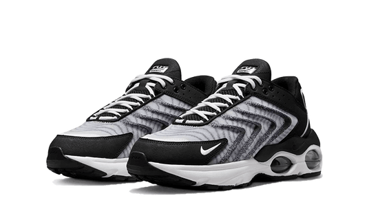 Nike Air Max TW Black White - DQ3984-001