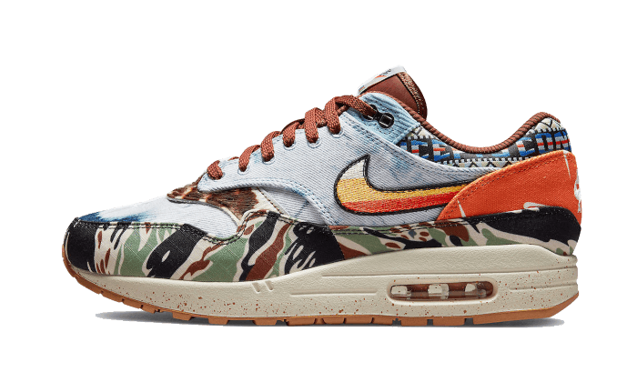 Nike Air Max 1 SP Concepts Heavy - DN1803-900