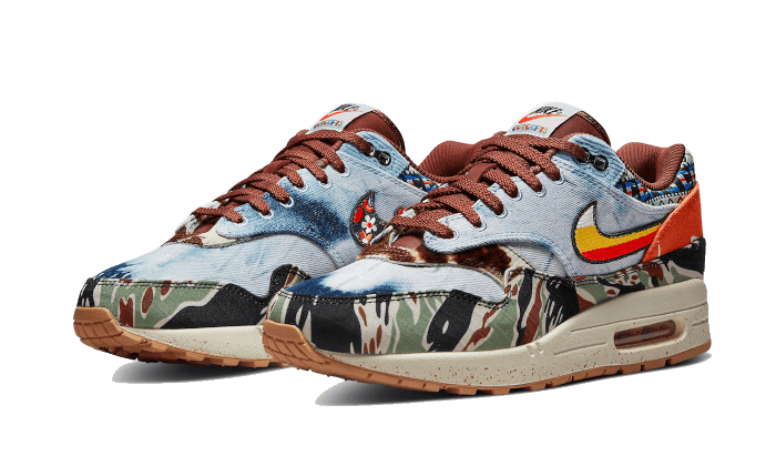 Nike Air Max 1 SP Concepts Heavy - DN1803-900