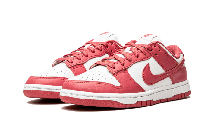 Nike Dunk Low Archeo Pink - DD1503-111