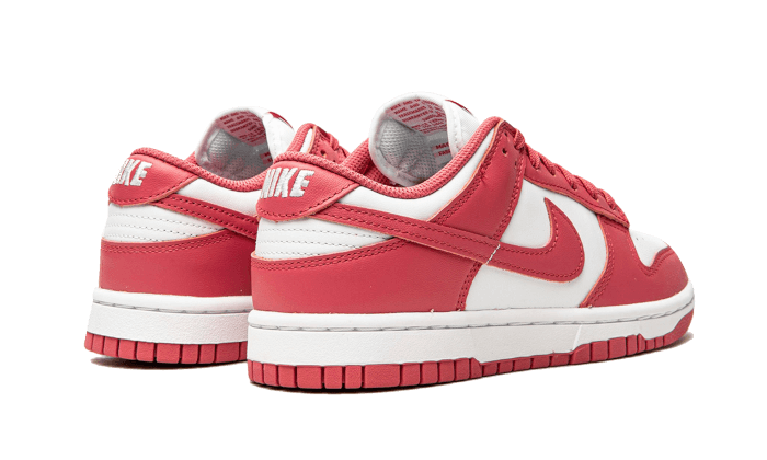 Nike Dunk Low Archeo Pink - DD1503-111