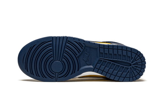 Nike Dunk Low Michigan - DD1391-700 / CW1590-700