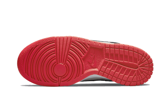 Nike Dunk Low NBA 75th Anniversary Chicago Bulls - DD3363-100 / DO6288-100