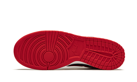 Nike Dunk Low Samba (2020) - CZ2667-400