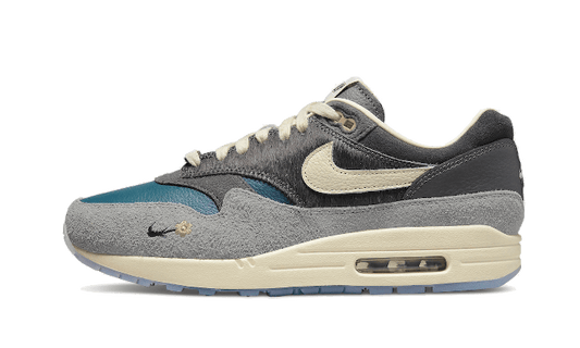 Nike Air Max 1 Kasina Won-Ang Grey - DQ8475-001