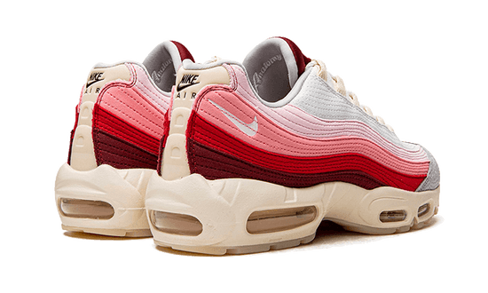 Nike Air Max 95 Anatomy of Air - DM0012-600