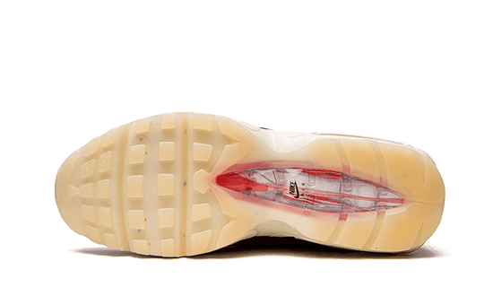 Nike Air Max 95 Anatomy of Air - DM0012-600